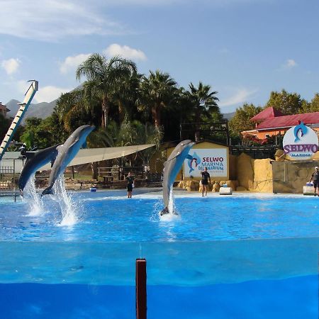 Minerva Paradise Benalmádena Kültér fotó